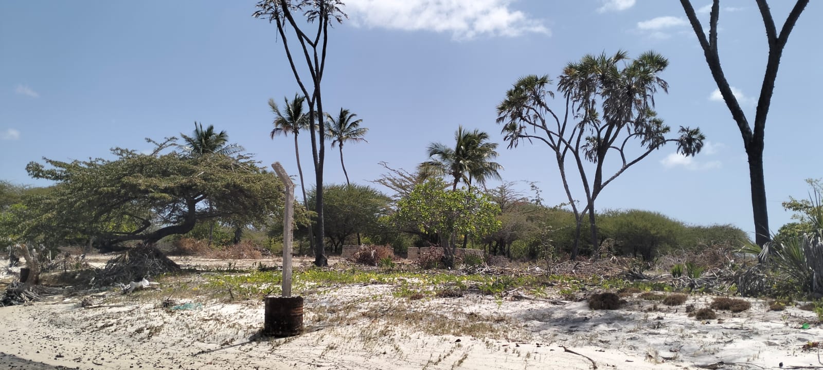 1.9-acre sandy beachfront property for sale in Mtangawanda Bori Lamu next to Bori Hotel, ideal for resort or luxury development.