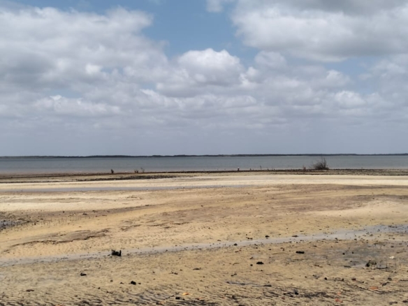 1.9-acre sandy beachfront property for sale in Mtangawanda Bori Lamu next to Bori Hotel, ideal for resort or luxury development.