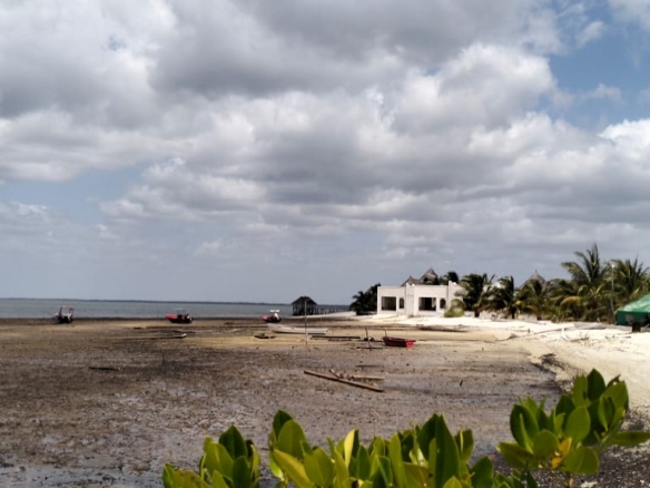 1.9-acre sandy beachfront property for sale in Mtangawanda Bori Lamu next to Bori Hotel, ideal for resort or luxury development.