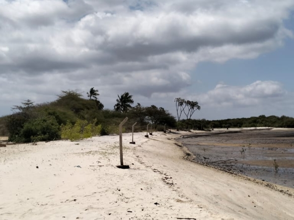 1.9-acre sandy beachfront property for sale in Mtangawanda Bori Lamu next to Bori Hotel, ideal for resort or luxury development.
