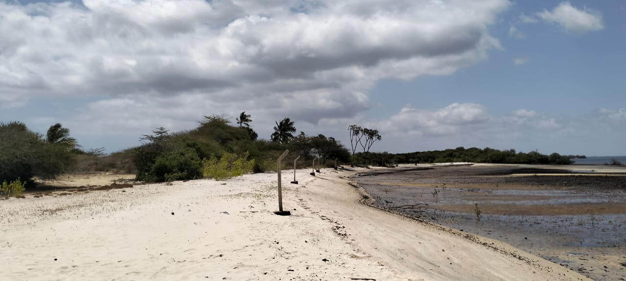 1.9-acre sandy beachfront property for sale in Mtangawanda Bori Lamu next to Bori Hotel, ideal for resort or luxury development.