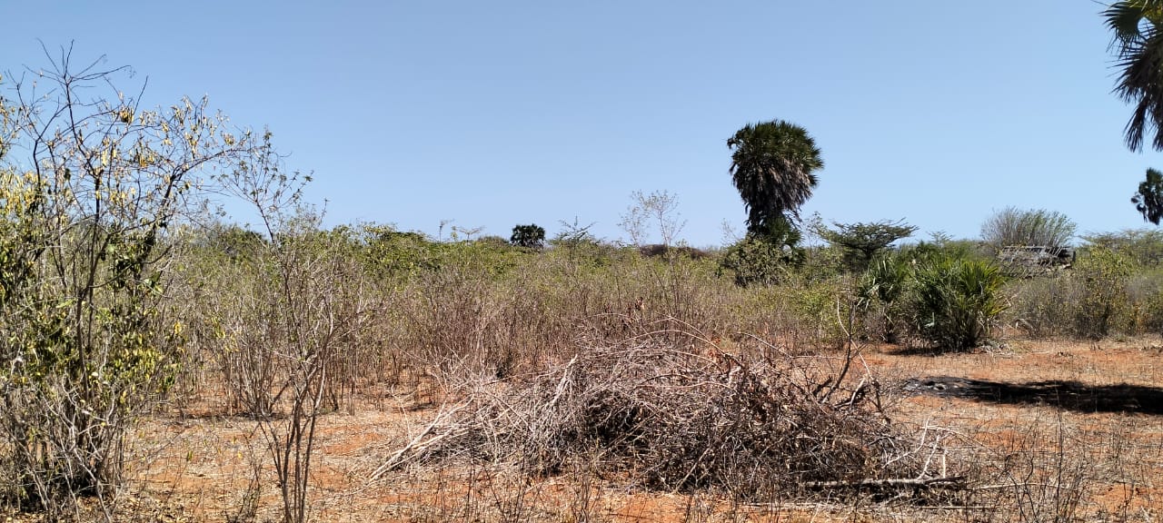 2.3-acre agricultural land for sale in Ngozini, Suyu with fertile red soil, all-weather road access, and electricity nearby, ideal for farming and investment.