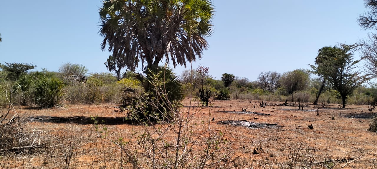 2.3-acre agricultural land for sale in Ngozini, Suyu with fertile red soil, all-weather road access, and electricity nearby, ideal for farming and investment.