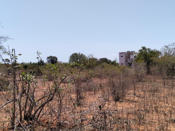 2.3-acre agricultural land for sale in Ngozini, Suyu with fertile red soil, all-weather road access, and electricity nearby, ideal for farming and investment.