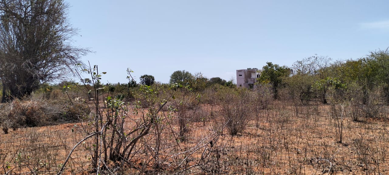 2.3-acre agricultural land for sale in Ngozini, Suyu with fertile red soil, all-weather road access, and electricity nearby, ideal for farming and investment.