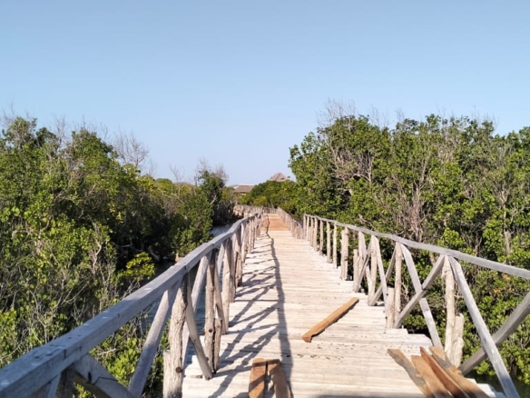 3-acre mangrove-front land for sale on Manda Island, Lamu – premium coastal investment property.