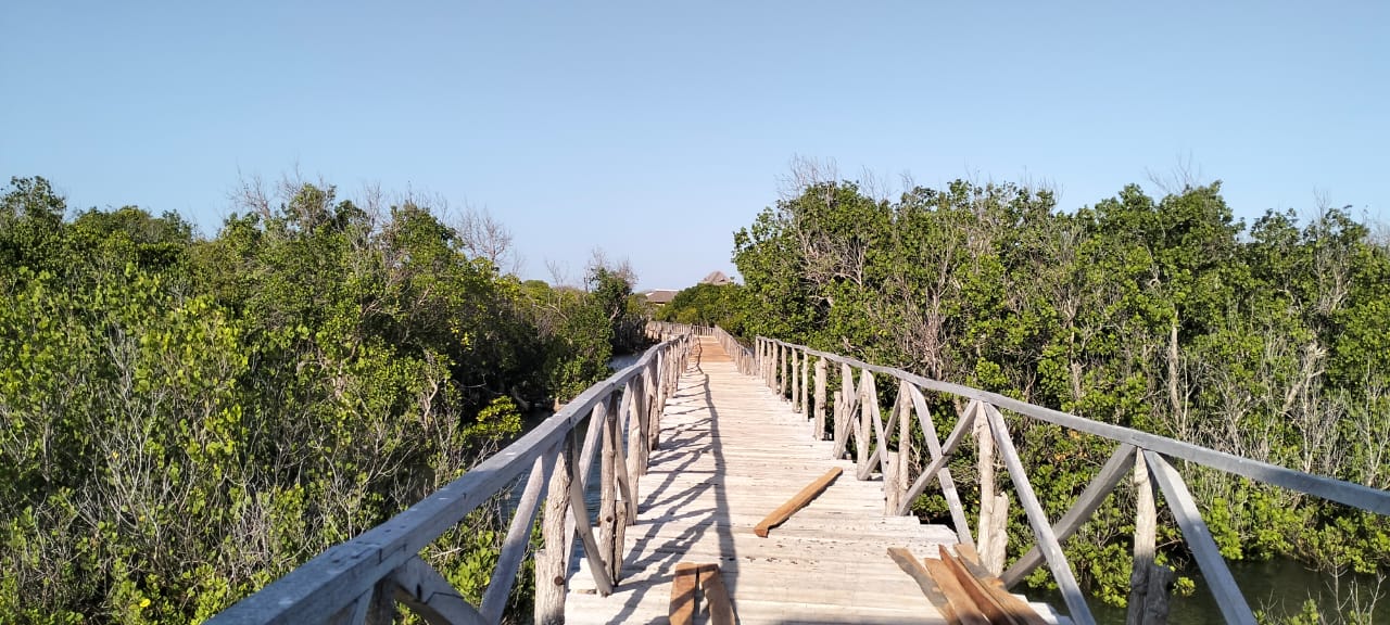 3-acre mangrove-front land for sale on Manda Island, Lamu – premium coastal investment property.