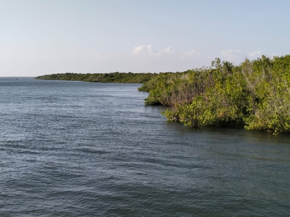 3-acre mangrove-front land for sale on Manda Island, Lamu – premium coastal investment property.