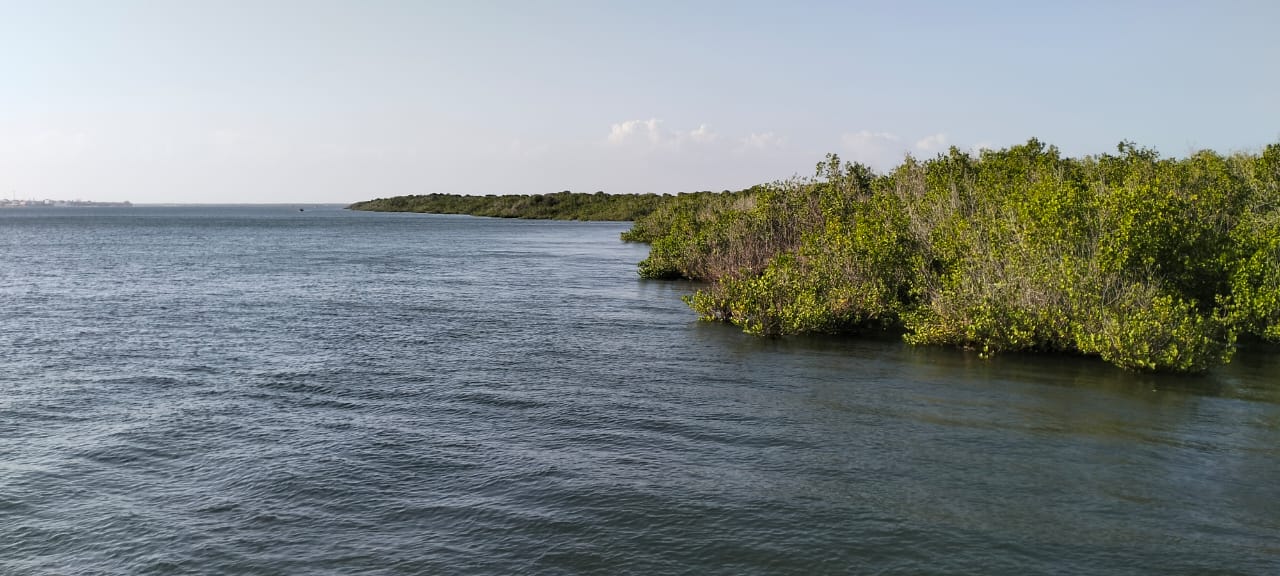 3-acre mangrove-front land for sale on Manda Island, Lamu – premium coastal investment property.