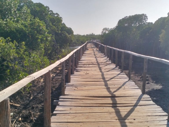 3-acre mangrove-front land for sale on Manda Island, Lamu – premium coastal investment property.