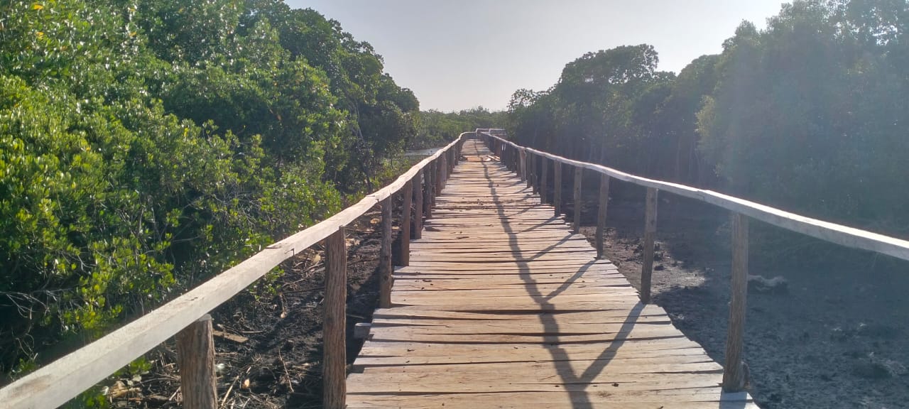 3-acre mangrove-front land for sale on Manda Island, Lamu – premium coastal investment property.