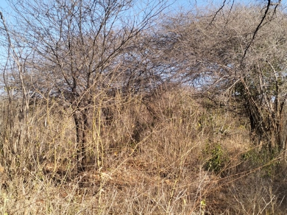 3-acre mangrove-front land for sale on Manda Island, Lamu – premium coastal investment property.