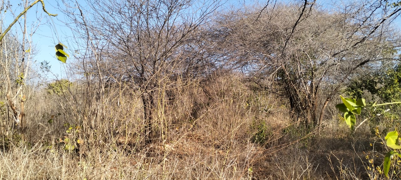 3-acre mangrove-front land for sale on Manda Island, Lamu – premium coastal investment property.