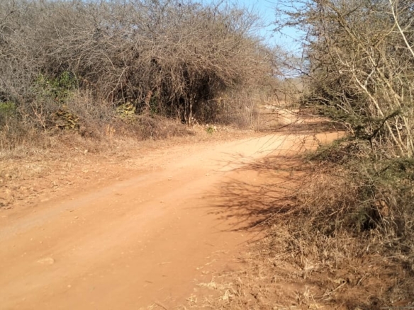 3-acre mangrove-front land for sale on Manda Island, Lamu – premium coastal investment property.
