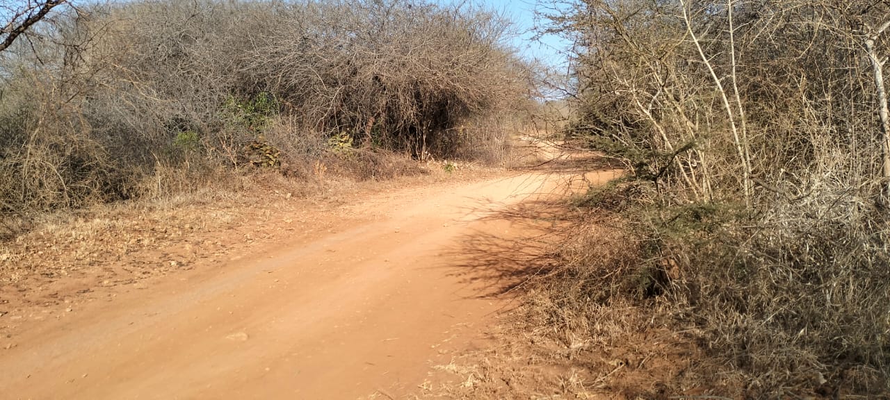 3-acre mangrove-front land for sale on Manda Island, Lamu – premium coastal investment property.
