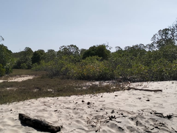 Coastal land parcels ranging from 2.2 to 3.7 acres for sale on Pate Island, Lamu at KES 1.7M per acre.