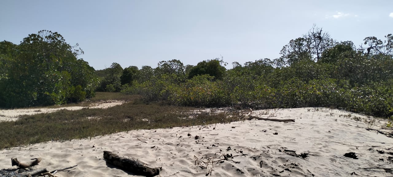 Coastal land parcels ranging from 2.2 to 3.7 acres for sale on Pate Island, Lamu at KES 1.7M per acre.