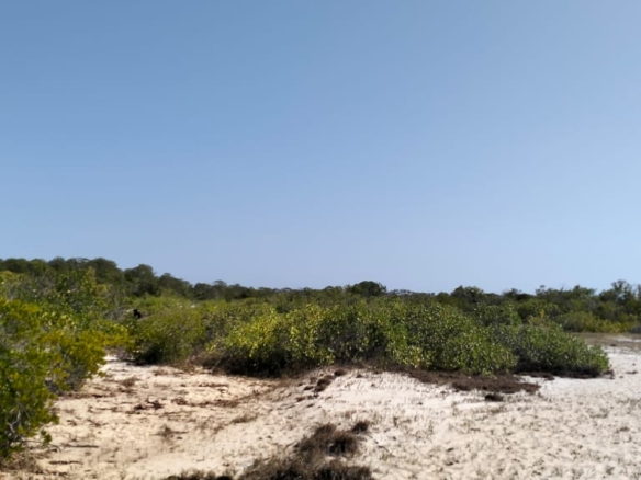 Coastal land parcels ranging from 2.2 to 3.7 acres for sale on Pate Island, Lamu at KES 1.7M per acre.