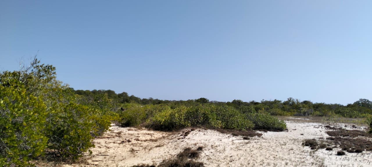 Coastal land parcels ranging from 2.2 to 3.7 acres for sale on Pate Island, Lamu at KES 1.7M per acre.