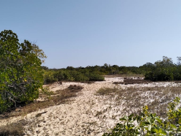 Coastal land parcels ranging from 2.2 to 3.7 acres for sale on Pate Island, Lamu at KES 1.7M per acre.