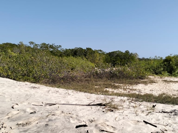 Coastal land parcels ranging from 2.2 to 3.7 acres for sale on Pate Island, Lamu at KES 1.7M per acre.