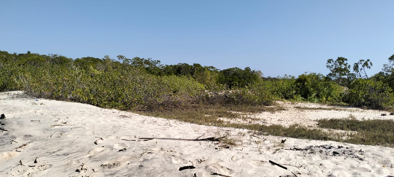 Coastal land parcels ranging from 2.2 to 3.7 acres for sale on Pate Island, Lamu at KES 1.7M per acre.