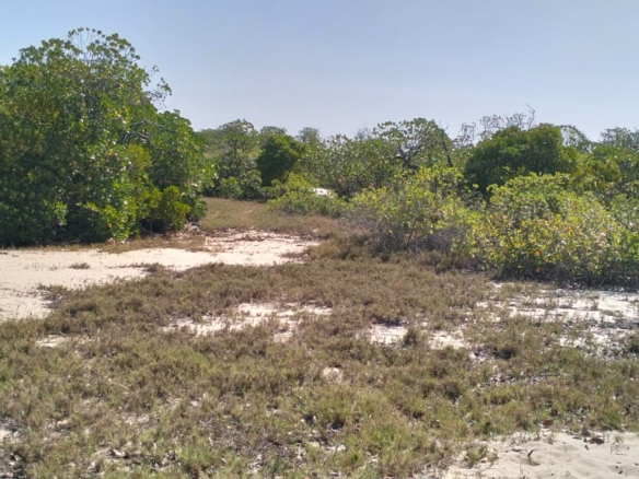 Coastal land parcels ranging from 2.2 to 3.7 acres for sale on Pate Island, Lamu at KES 1.7M per acre.