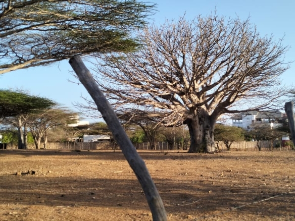 1.5-acre beachfront land for sale on Manda Kitao Island with ocean views