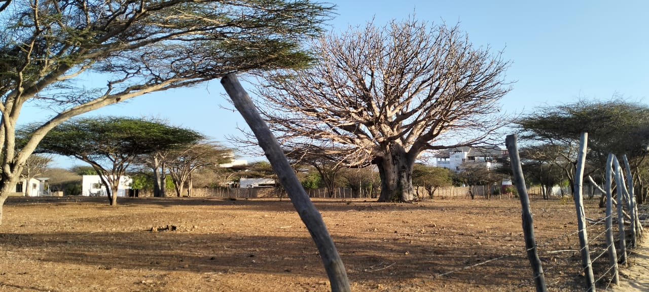 1.5-acre beachfront land for sale on Manda Kitao Island with ocean views