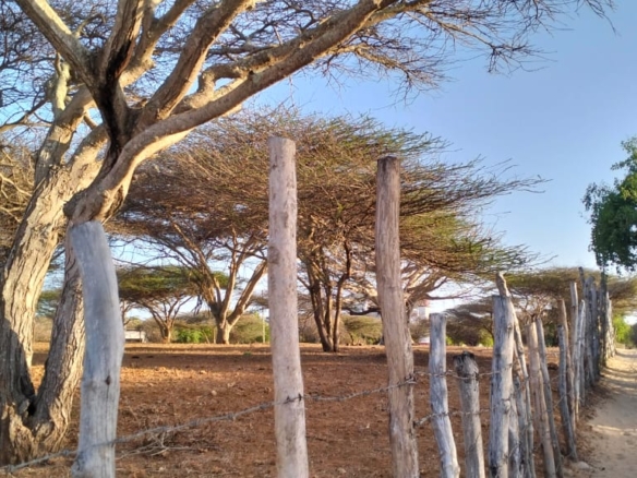 1.5-acre beachfront land for sale on Manda Kitao Island with ocean views