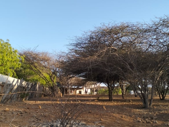 1.5-acre beachfront land for sale on Manda Kitao Island with ocean views