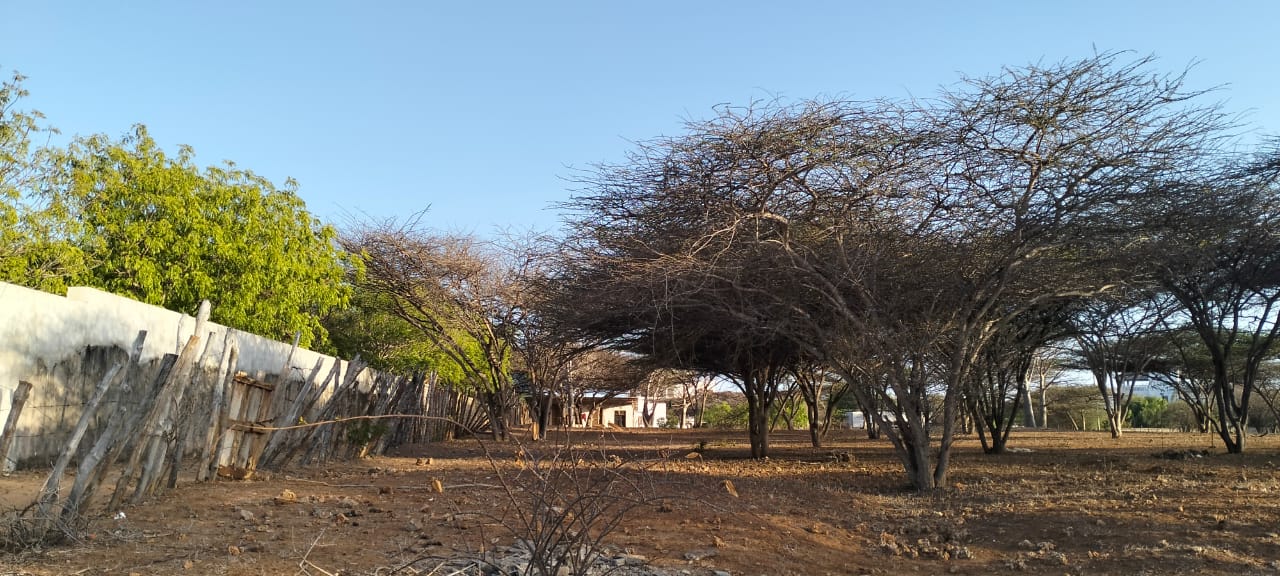 1.5-acre beachfront land for sale on Manda Kitao Island with ocean views