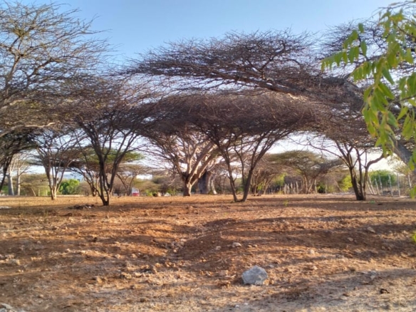 1.5-acre beachfront land for sale on Manda Kitao Island with ocean views