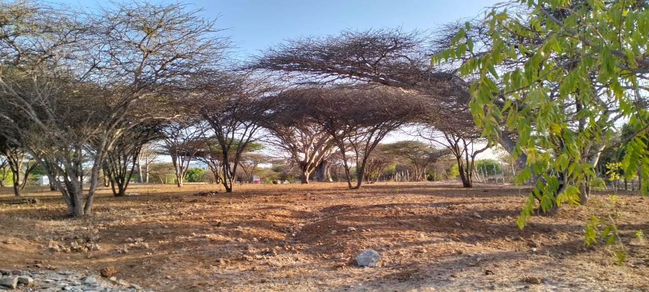 1.5-acre beachfront land for sale on Manda Kitao Island with ocean views