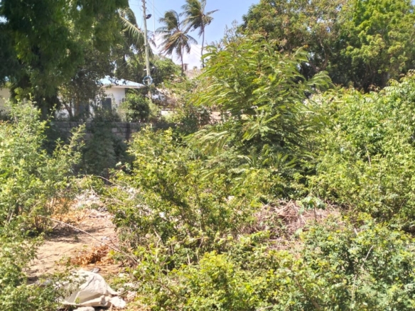 0.4-acre walled plot for sale in Lamu Town suitable for residential, hotel, or commercial development.