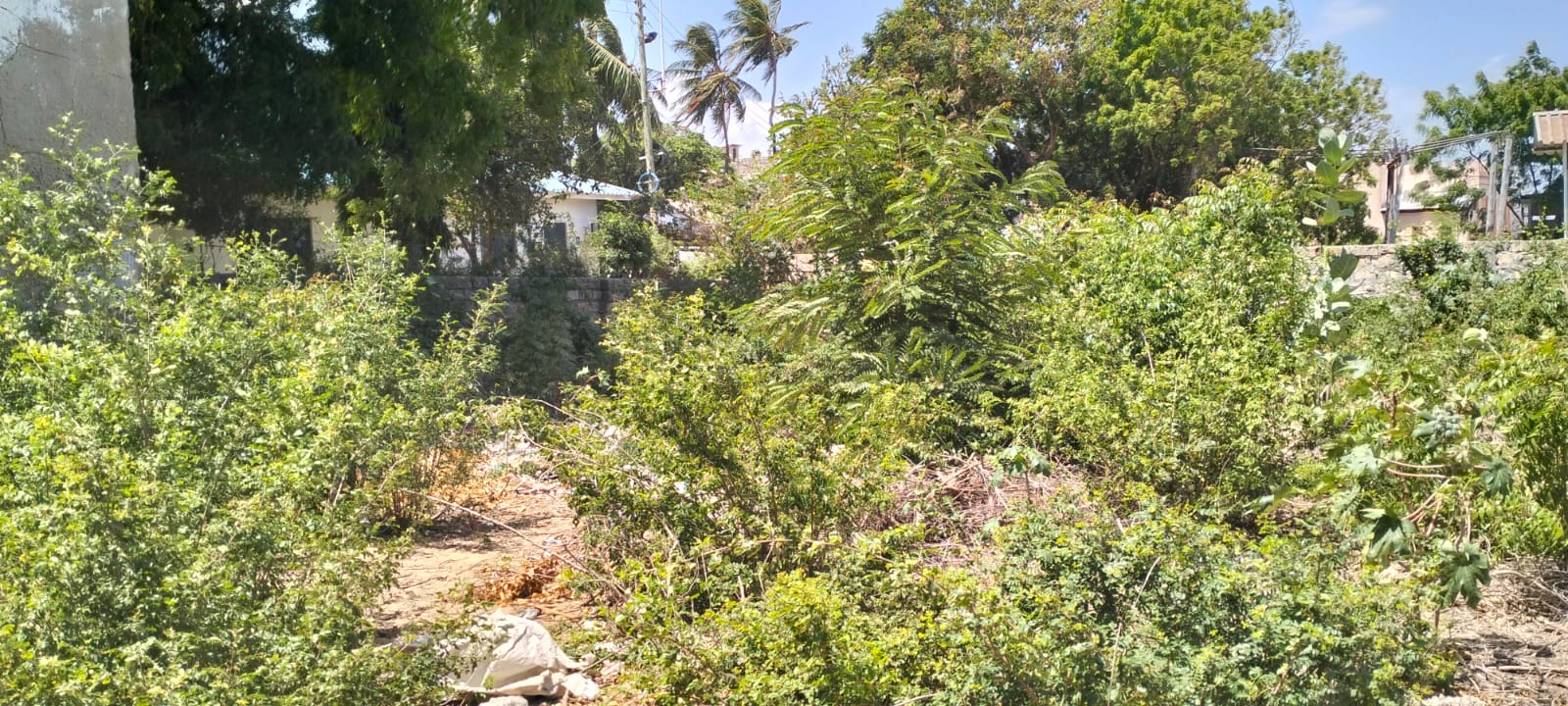 0.4-acre walled plot for sale in Lamu Town suitable for residential, hotel, or commercial development.