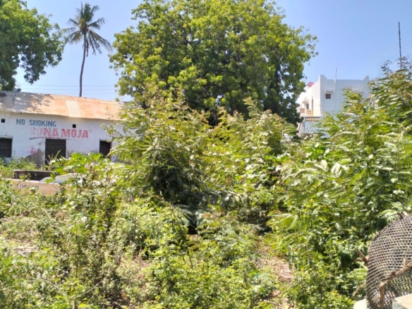 0.4-acre walled plot for sale in Lamu Town suitable for residential, hotel, or commercial development.