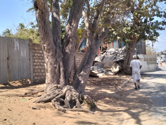 0.4-acre walled plot for sale in Lamu Town suitable for residential, hotel, or commercial development.