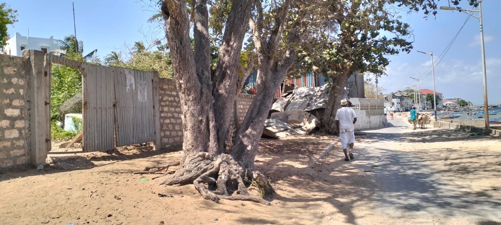 0.4-acre walled plot for sale in Lamu Town suitable for residential, hotel, or commercial development.