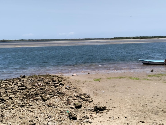 0.4-acre walled plot for sale in Lamu Town suitable for residential, hotel, or commercial development.