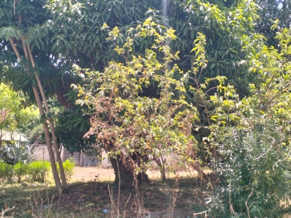 1.2-acre property with 2-bedroom house for sale in Malindi Town