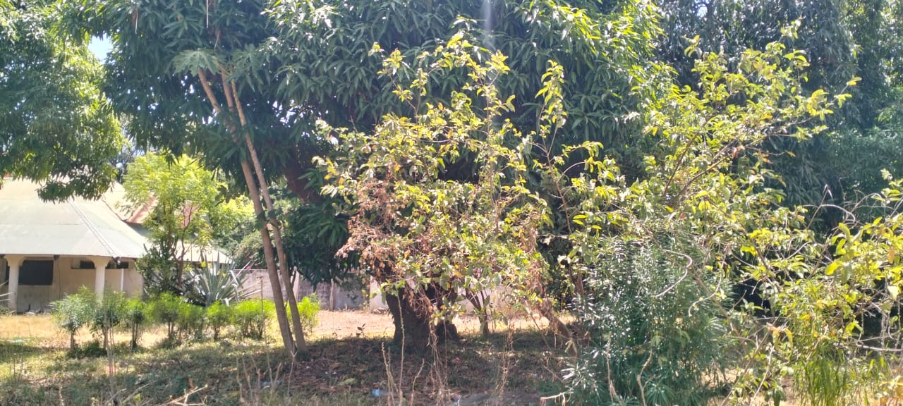 1.2-acre property with 2-bedroom house for sale in Malindi Town