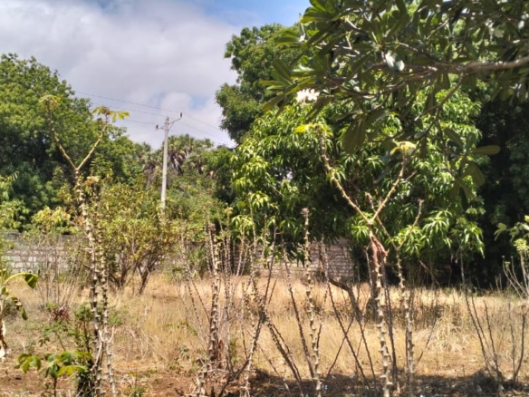 1.2-acre property with 2-bedroom house for sale in Malindi Town