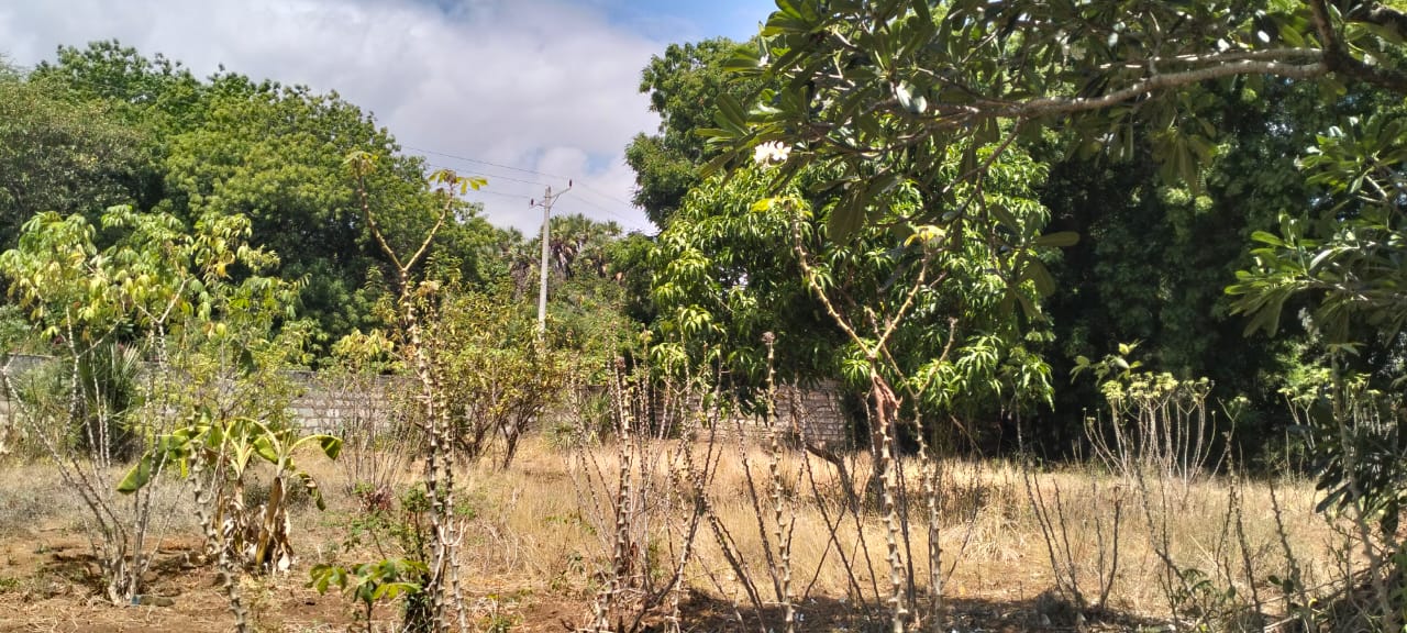 1.2-acre property with 2-bedroom house for sale in Malindi Town
