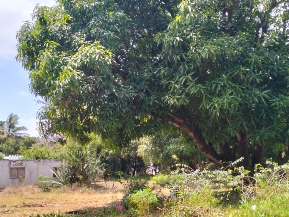 1.2-acre property with 2-bedroom house for sale in Malindi Town