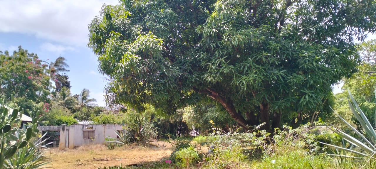 1.2-acre property with 2-bedroom house for sale in Malindi Town