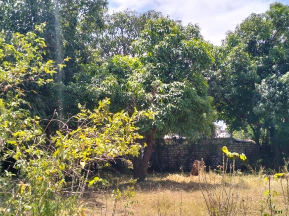 1.2-acre property with 2-bedroom house for sale in Malindi Town