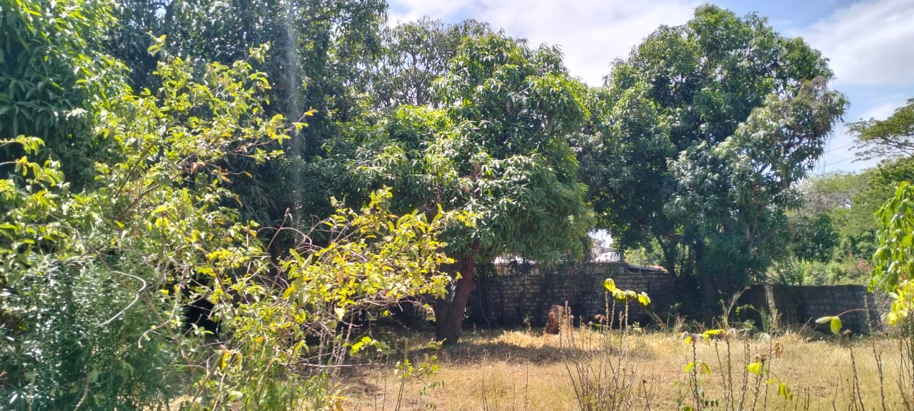 1.2-acre property with 2-bedroom house for sale in Malindi Town