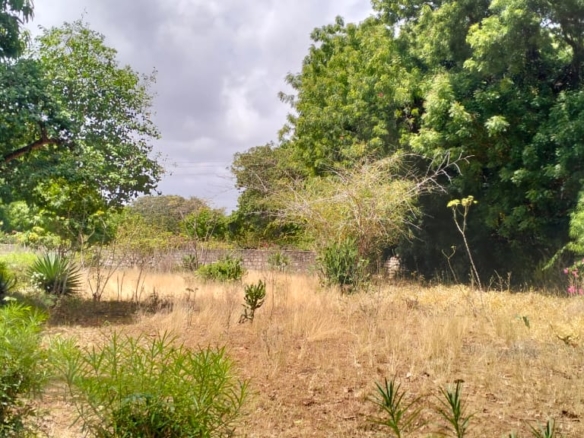 1.2-acre property with 2-bedroom house for sale in Malindi Town