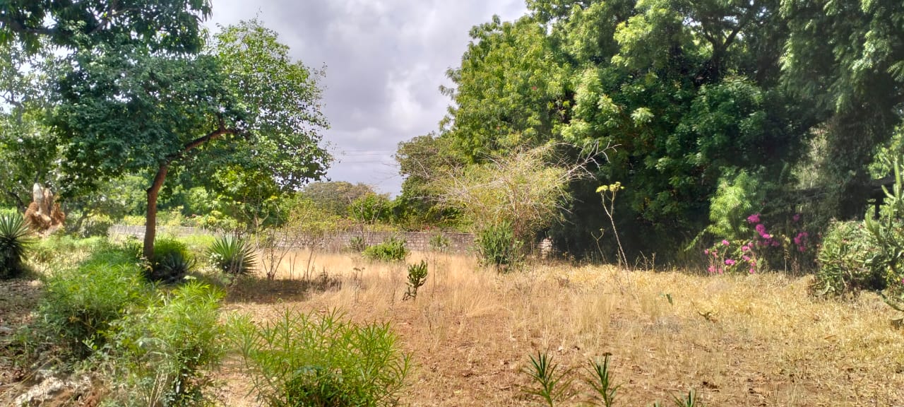 1.2-acre property with 2-bedroom house for sale in Malindi Town